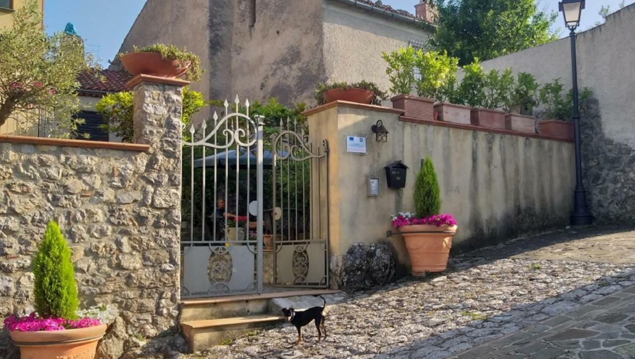 B&B Il Melograno Tortorella Экстерьер фото